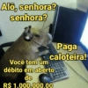 Aleatório 10