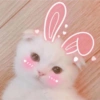Gatitos 1 12