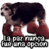 🌀 Memes & Shitpost #1.0 13