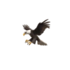 İphone Animal Emojis 29