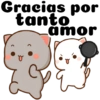 Gracias por tanto amor or