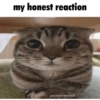My honest reaction 18
