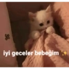 .biba 26