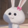 Bad bunny 🐰 8