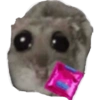 Hamster🎀 27