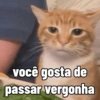 você gosta de passar vergonha