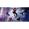 Spiderman 19