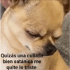 Quizás una culiada bien satánica me quite lo triste