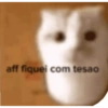 aff fiquei com tesao