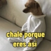 Frases perrunas cool 15
