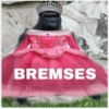 BREMSES