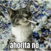 ahorita no