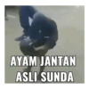 Meme indo 12