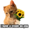 I have a crush on you