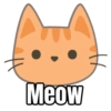 My cat memes 😂🐈 10