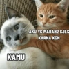 Kucink bucin lagi 14