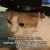 Memes con texto 7🏝️👀 9