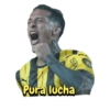 Peñarol 11