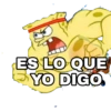 ES LO QUE
YO DIGO.