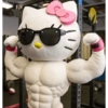 Hello kitty meme 15