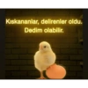 Kıskananlar, delirenler oldu. Dedim olabilir. neoncivciv