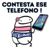 Flork Para Chat Vol2 🙂‍↕️ 12