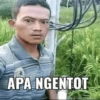 Meme jomok 19