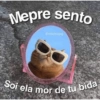 Mepre sento
@michujpg
Soi ela mor de tu bida