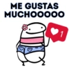 Flork Para Chat Vol2 🙂‍↕️ 15