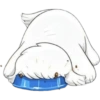 Cute dog 🤍🦴🏠 Perro Blanco 6