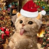Hewan christmas natal cat 8
