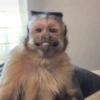 MIQUITOS FOFITOS 15