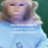 Memes 💢 20