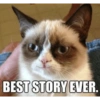 Talking cat 11