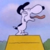 Snoopy Show 7(Just Fun)🐶🤍✨ 10