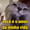 Gatinhos ❤️ 5