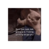Anomali kucing 10