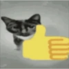 Gatitos😹 10