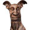 Reações & shitpost 9