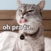RESPOSTAS RÁPIDAS 8