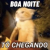 Moods: bom dia, tarde, noite 9