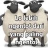 Meme random 5