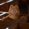 Garfield vol.2 🐈🐾 29