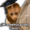 Monitos para graduados 🎓 10