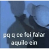 pq q ce foi falar aquilo ein
