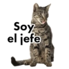 My Life is Murder Stickers 5