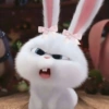 Bad bunny 🐰 9