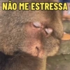 MACAQUINHA XINGXING 🐵🤎 15