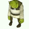 Shrek. | @ocenferios  Haki. 12