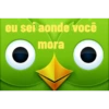 Duolingo 29